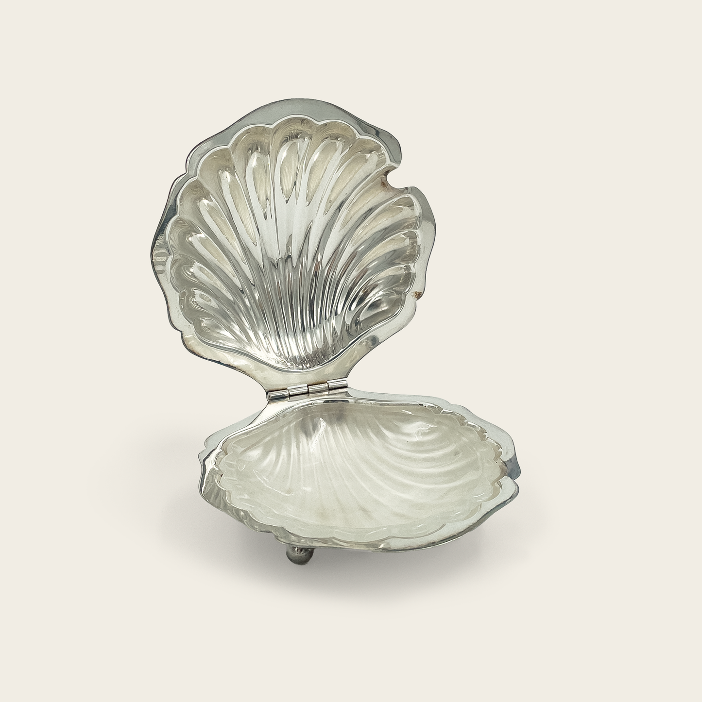 Seashell Butter Dish