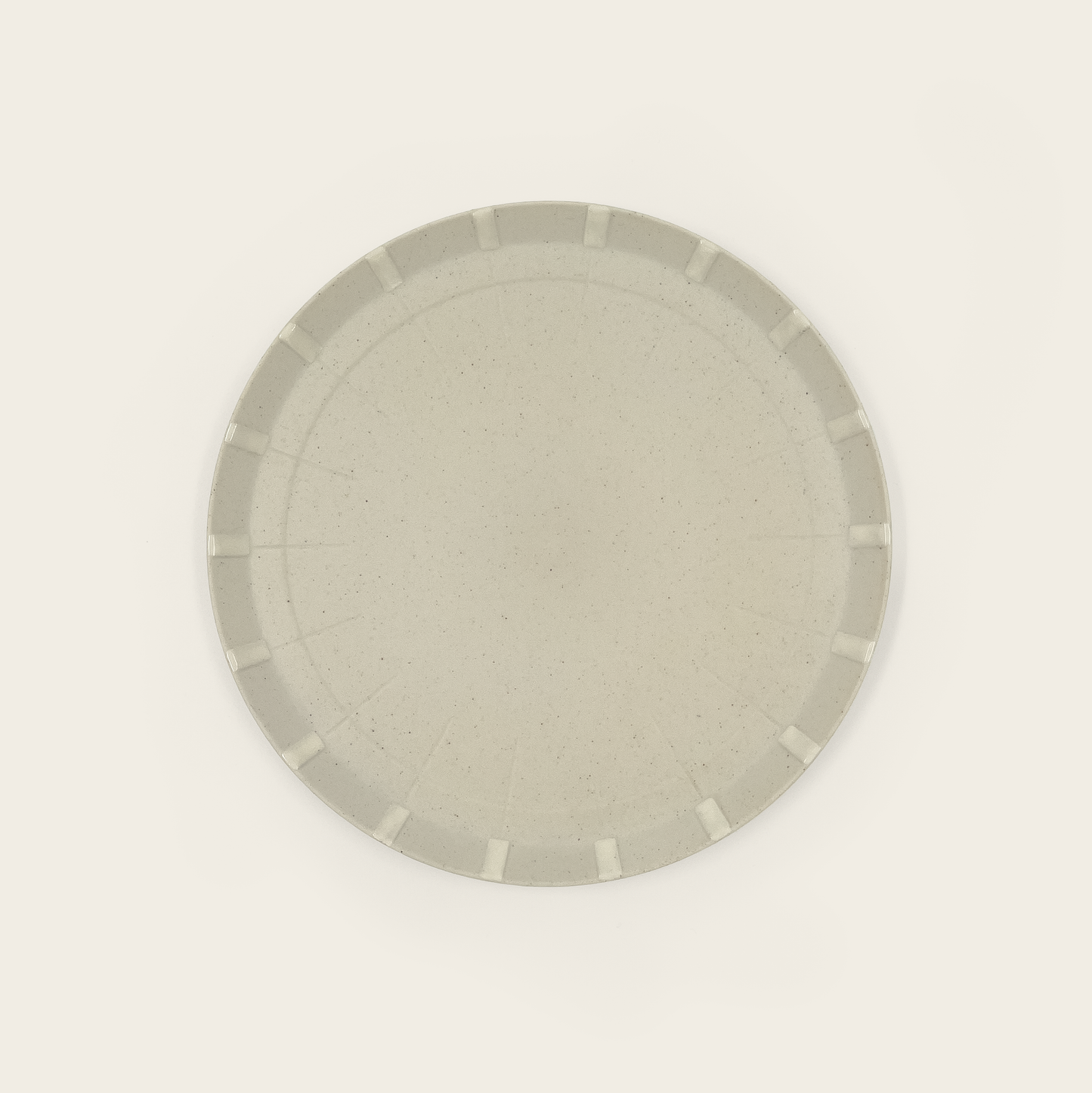 Paper Porcelain Plate