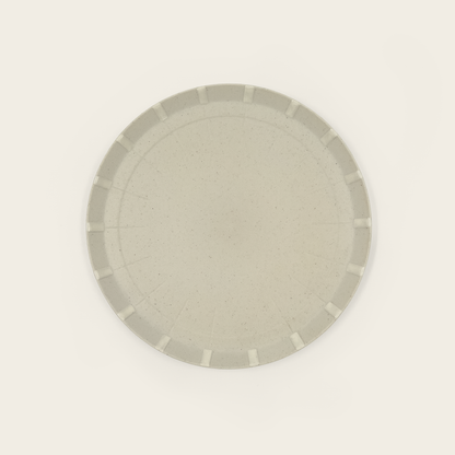 Paper Porcelain Plate