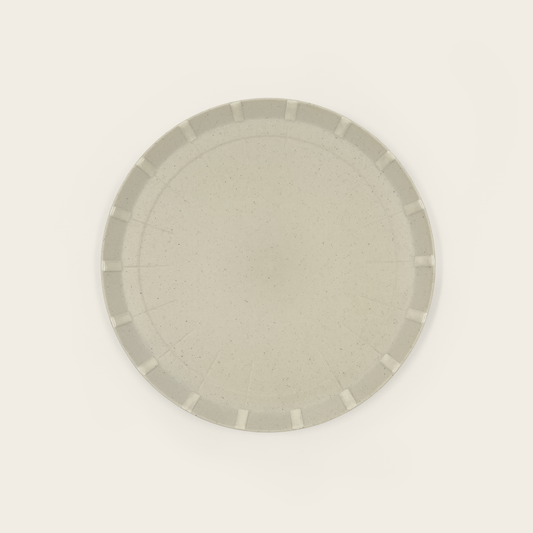 Paper Porcelain Plate